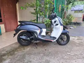 Honda scoopy sporty 2024