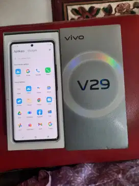 Hp Vivo V29 Ram 8/256