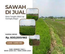 DiJual Tanah/Sawah Bogor