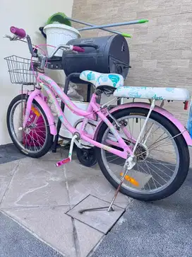 Sepeda anak Wimcycle