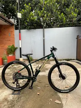 DOMINATE A ONE 29ERS 10 SPEED DEORE Like New size M