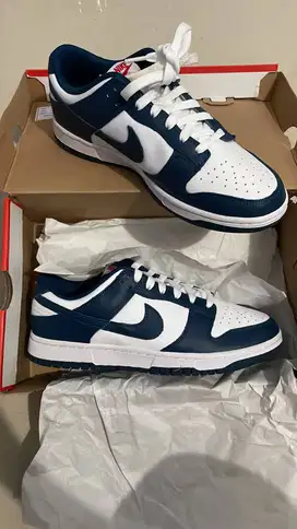 Nike Dunk Low Retro Valerian Blue Original 100%