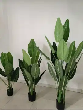 Pisang Pisangan artificial