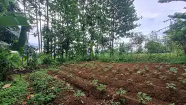 JUAL TANAH CEPAT!! 325M, 150JT NEGO