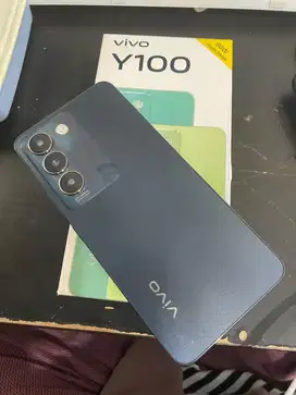 Vivo y100 8+8/256gb