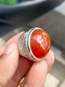 Cincin batu red raflesia bengkulu