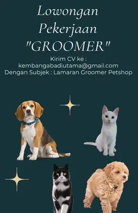 PET GROOMER (Petshop)