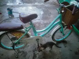 Sepeda anak perempuan