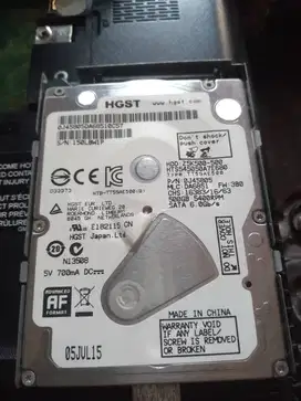 Software backup data