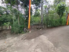 Tanah pekarangan shm luas 350m di pacarejo semanu