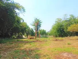 Tanah Kavling 1 Jt-an/m2, Dekat Taman Buah Mekarsari