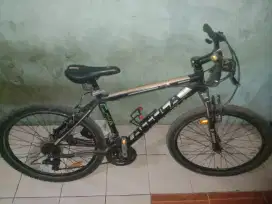 Sepeda aleoca MTB 26 alloy