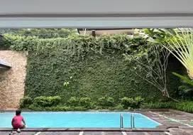 Rumah Mewah Swimming Pool Di Hang Lekir Kby Baru Jaksel