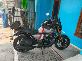 TVS Ronin 2024 Bulan 9