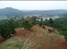 di jual lahan perkebunan durian Dan alpukat di Leuwiliang Bogor barat