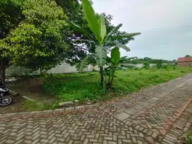 Jeffry- DiJual Tanah RING ROAD SELATAN Purworejo Pasuruan Jawa Timur