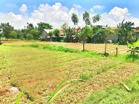 Tanah Luas Di Babelan Lokasi Di Pinggir Jalan Raya