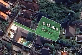 FREEHOLD LAND IN THE PRIME AREA OF PERERENAN (8.15 ARE)