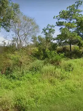 kavling di dalam perumahan Candi Golf Semarang