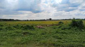 Dijual tanah strategis zona komersil di Cibarusa,Cikarang