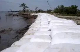 Dibutuhkan Mandor/Supervisor proyek