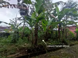 Tanah cocok untuk tempat tinggal