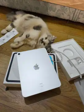Ipad gen 10 64gb silver ibox garansi panjang wifi