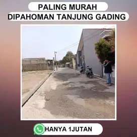 Tanah TANJUNG GADING KEDAMAIAN TANAH STRATEGIS DEKAT SEKOLAH UNGGULAN