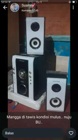 Audio polytron PMA