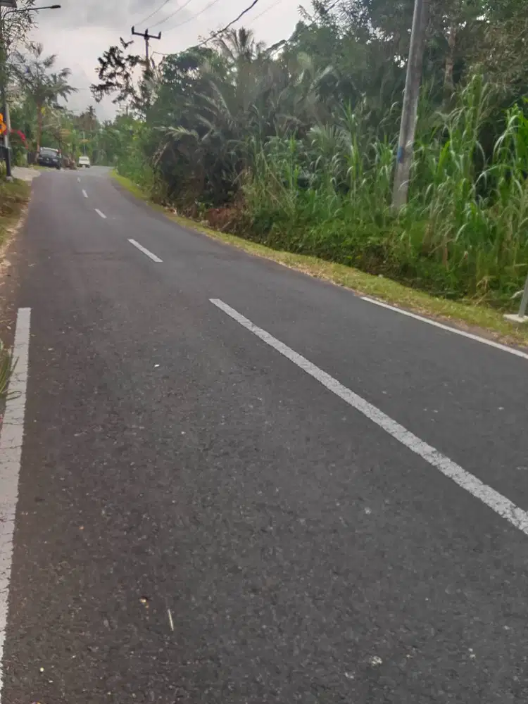 Tanah murah di pinggir jalan raya