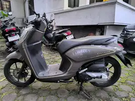 For Sale Honda Genio 2020 Fabulous