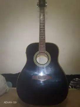 Gitar Brunswick