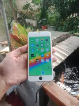 Iphone 6 plus All operator