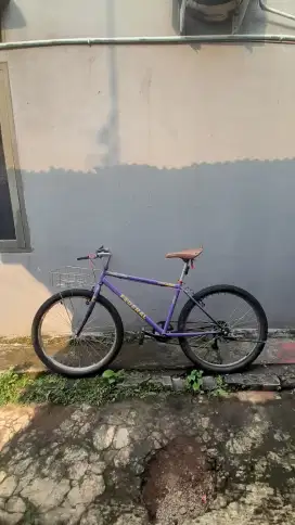 Sepeda Federal Streetcat