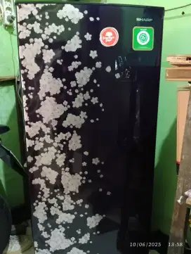 Kulkas 1 pintu SHARP