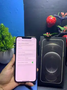 IPHONE 14 PROMAX INTERNAL 128GB 
EX IBOXX

FACE ID ON
TRUTUNE ON
BH 83