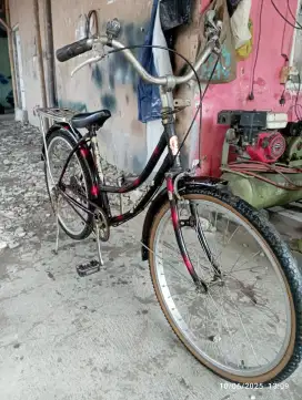 Sepeda Phoenix 24