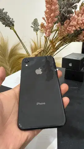 Iphone XR/128 GB Ibox