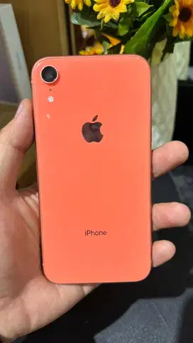Iphone XR/128 GB