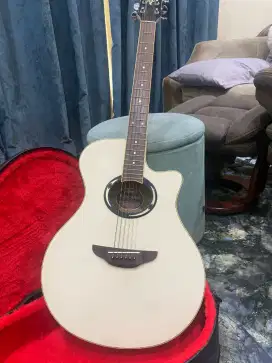 Acoustic Guitar APX500II