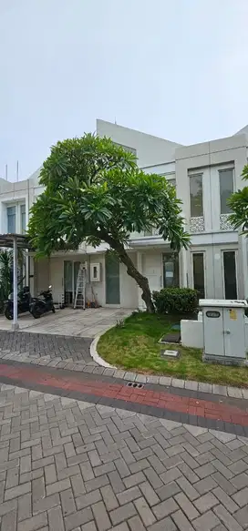RUMAH GRAND PAKUWON CLUSTER ADELEIDE SURABAYA (Tjin2Area)