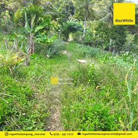Dijual Tanah di Sukabumi, Bandar Lampung (kode: TI 3302)