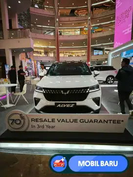 [Mobil Baru] WULING ALVEZ EX