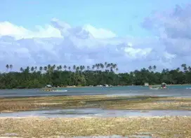 Dijual Cepat Tanah Pulau Talaud Sulawesi Utara