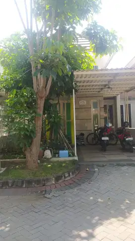 Jual rumah gratis umroh