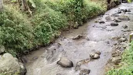 DIJUAL SAWAH - SAUNG VIVILAAN - ADA SUNGAI - AIR MELIMPAH