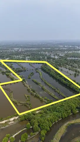 Tanah tambak Betoyo Manyar Gresik Kawasan pergudangan dan Industri