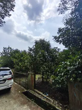 Tanah 2.930 m² di Wanayasa – View Alam Luas, Cocok untuk Villa, Kebun,