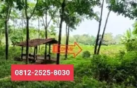 MURAH Tanah 3570m di Abung Semuli Lampung Utara MD