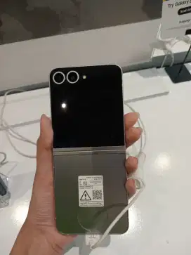 Galaxy Z Flip 6